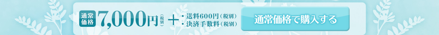 通常価格で購入する